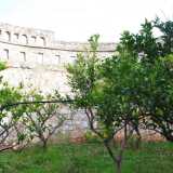Il piccolo Colosseo � stato ultimato nel 1982 e al suo interno si trova un agrumeto con alberi di limoni, arance e mandarini